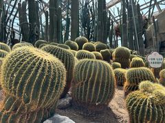 -南山植物园