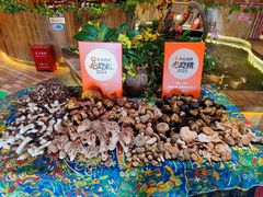 -老滇山寨•云南特色菜•地方菜•民族风情歌舞表演(金碧店)