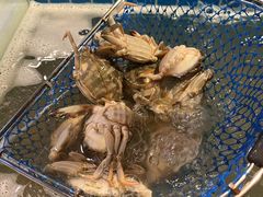 -喜多鲜生海鲜自助(无锡旗舰店)