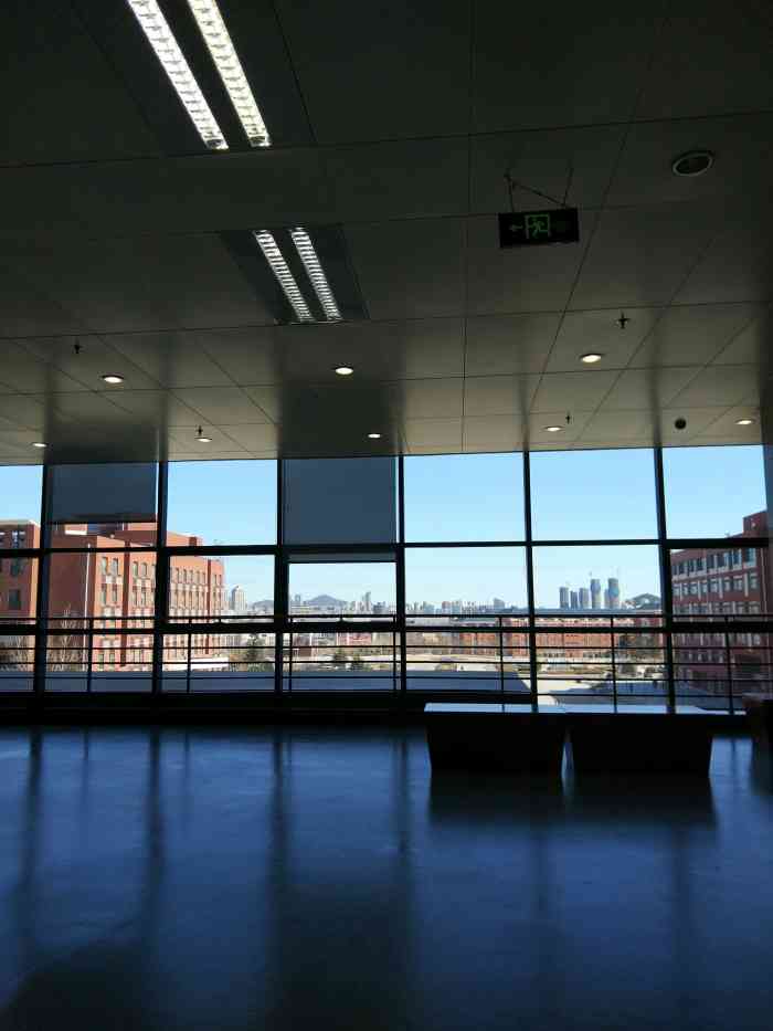 vip佩奇周拖了再拖的研究生论文今天终于下定决心来图书馆开笔了