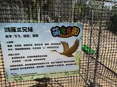-观澜小洱海