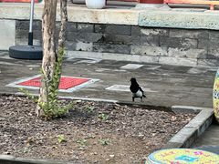 -宫事颐庭·老佛爷贵寿下午茶(颐和园店)