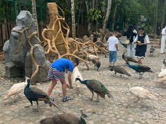 -西双版纳傣族园