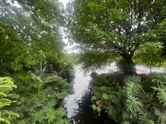 -荔湾湖公园