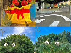 -巨鹏飞梦幻海岸