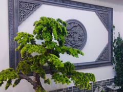 -呼吸森林·生态农庄农家乐私房菜