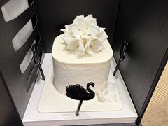 -BLACKSWAN黑天鹅(环球店)