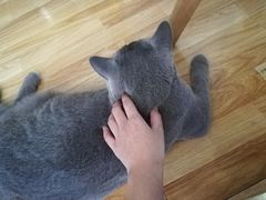 -壹人壹像工作室(购物公园店)