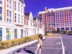 -星光岛