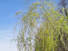 -太湖湖滨国家湿地公园-停车场