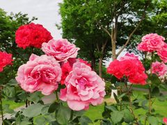 -无锡市市民中心