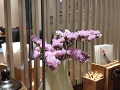 -黑松白鹿(崇文门新活馆店)