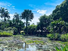 -中国科学院西双版纳热带植物园