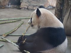 -杭州动物园