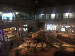 -自贡恐龙博物馆