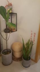 -养笙记·艾灸美容养生·轻养生活馆