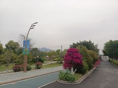 -三垟湿地
