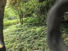 -漕河泾开发区企业园艺文化园