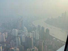 -上海柏悦酒店