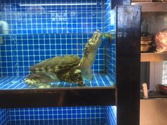 水产区-徽三说·土徽菜·中国徽菜连锁品牌(一中店)