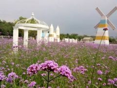 -松山湖梦幻百花洲
