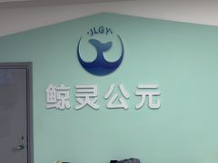-鲸灵公元游泳中心