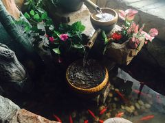-东巴婆婆云南鱼豆花火锅(大东门店)