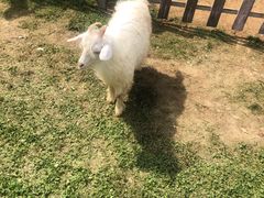 -云漫湖生态度假公园