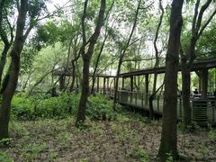 -西湖风景区-江洋畈生态公园
