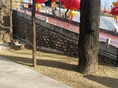 -红螺寺