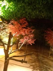 -酷嗒动物文化乐园(cutezoo西溪乐天城店)