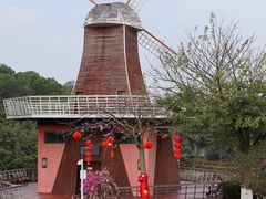 -东莞植物园