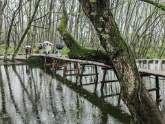 -西溪南古村落
