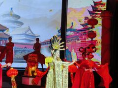 -金东尼人妖秀