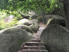 -火炉山森林公园