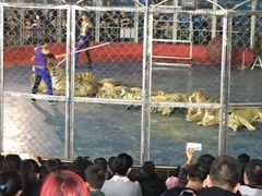 -西安秦岭野生动物园