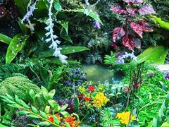 -东莞植物园