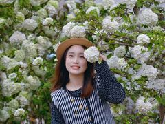 -大龙山(地铁站)