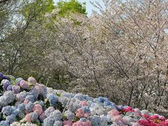 -苏州上方山国家森林公园