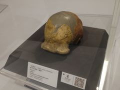 -北京周口店北京人遗址博物馆