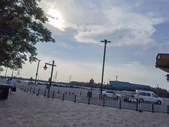 -迪士尼乐园停车场