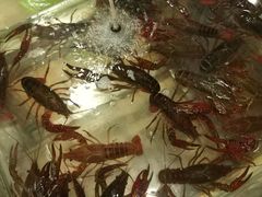 -虾弄弄海派小龙虾·牛羊蝎子火锅