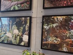 -同步齿科·数字化正畸种植口腔中心(珠海店)