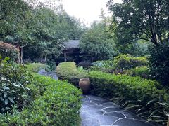 -腾冲洞山温泉村