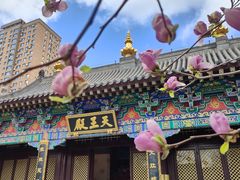 -护国法轮寺