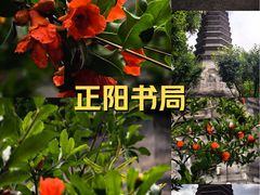 -正阳书局(西四南大街店)