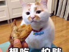 -小杨生煎(黄河路店)