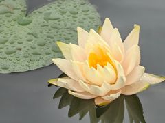 -杭州杭帮菜博物馆