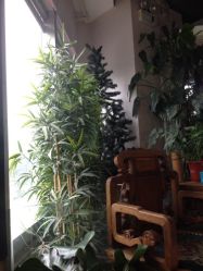 iphone_upload_pic-美秀造型