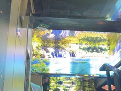 -蓉府金足印象(草市街22分店)